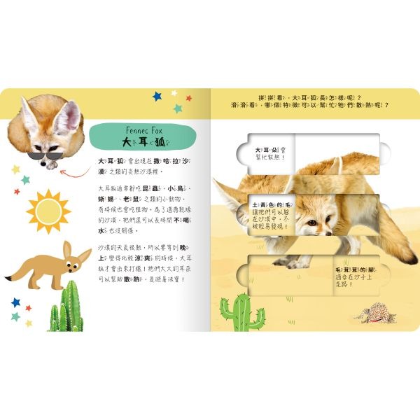 出清💥禾流．Lovely Puzzle－海洋動物園／雨林動物園／極地動物園／沙漠動物園-細節圖11