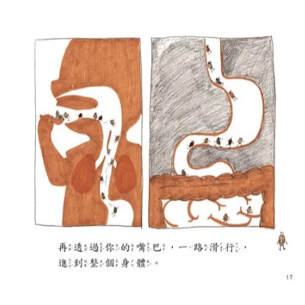 螢火蟲．好習慣培養繪本 細菌不要盯上我-細節圖6