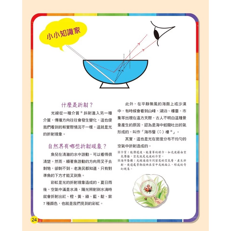 螢火蟲．兒童科學繪本－你看到了什麼？-細節圖8