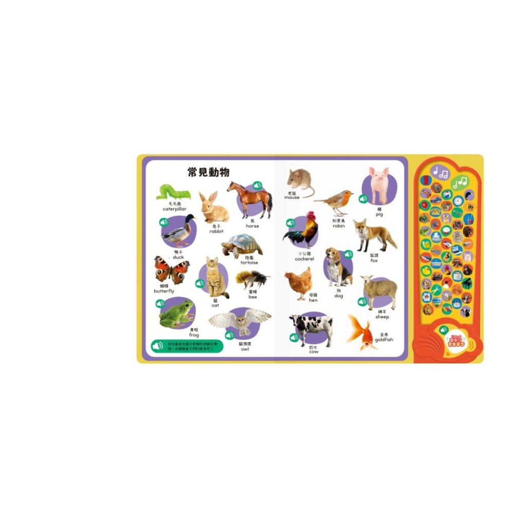 禾流．Listen！學會了！常見單字-細節圖3