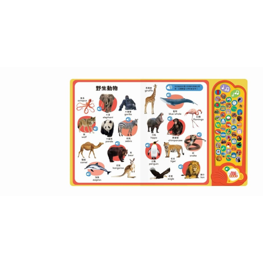 禾流．Listen！學會了！常見單字-細節圖4