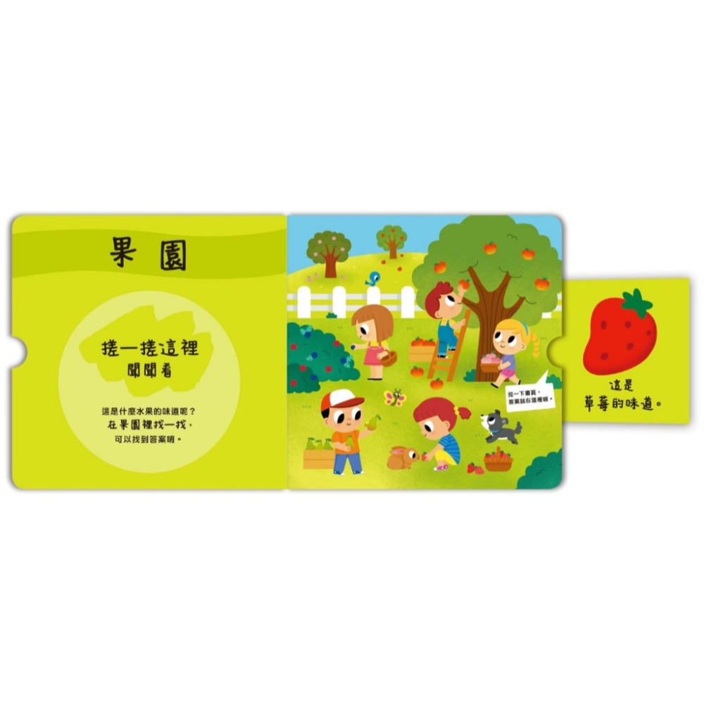 禾流．寶貝聞聞看系列（全3冊）-細節圖7