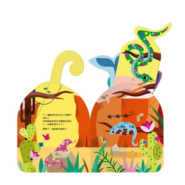 禾流．動物點點名－誰的尾巴翹起來-細節圖2