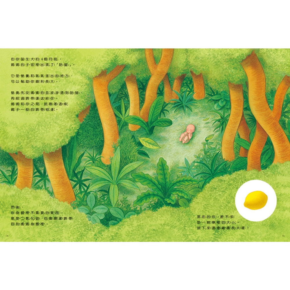 上誼．你在媽媽肚子裡的時候-細節圖3