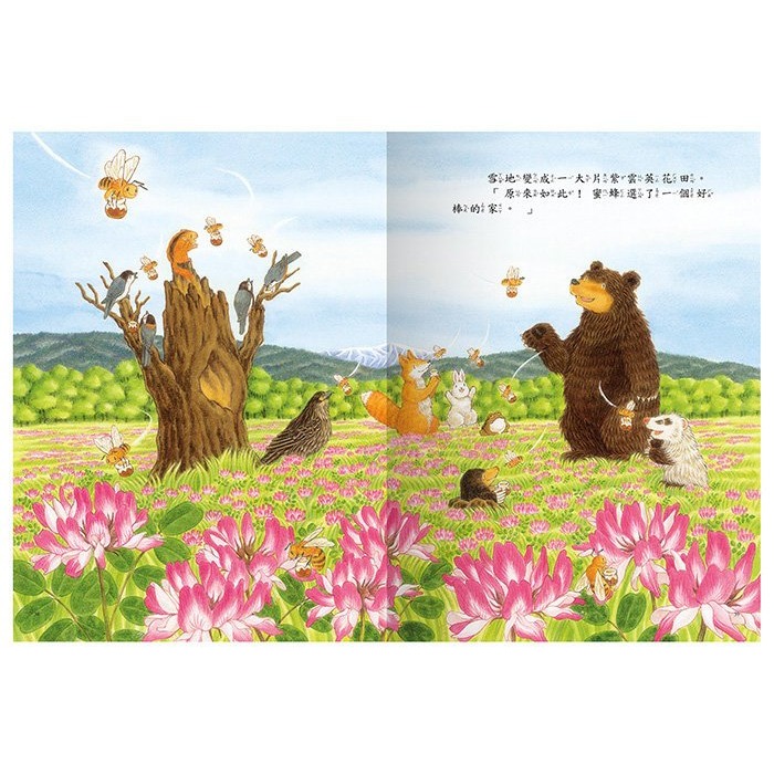 球球館．大熊與小睡鼠：春天的救援行動+雨天的驚喜+森林裡的好朋友+寒冬用品店（全4冊）-細節圖3