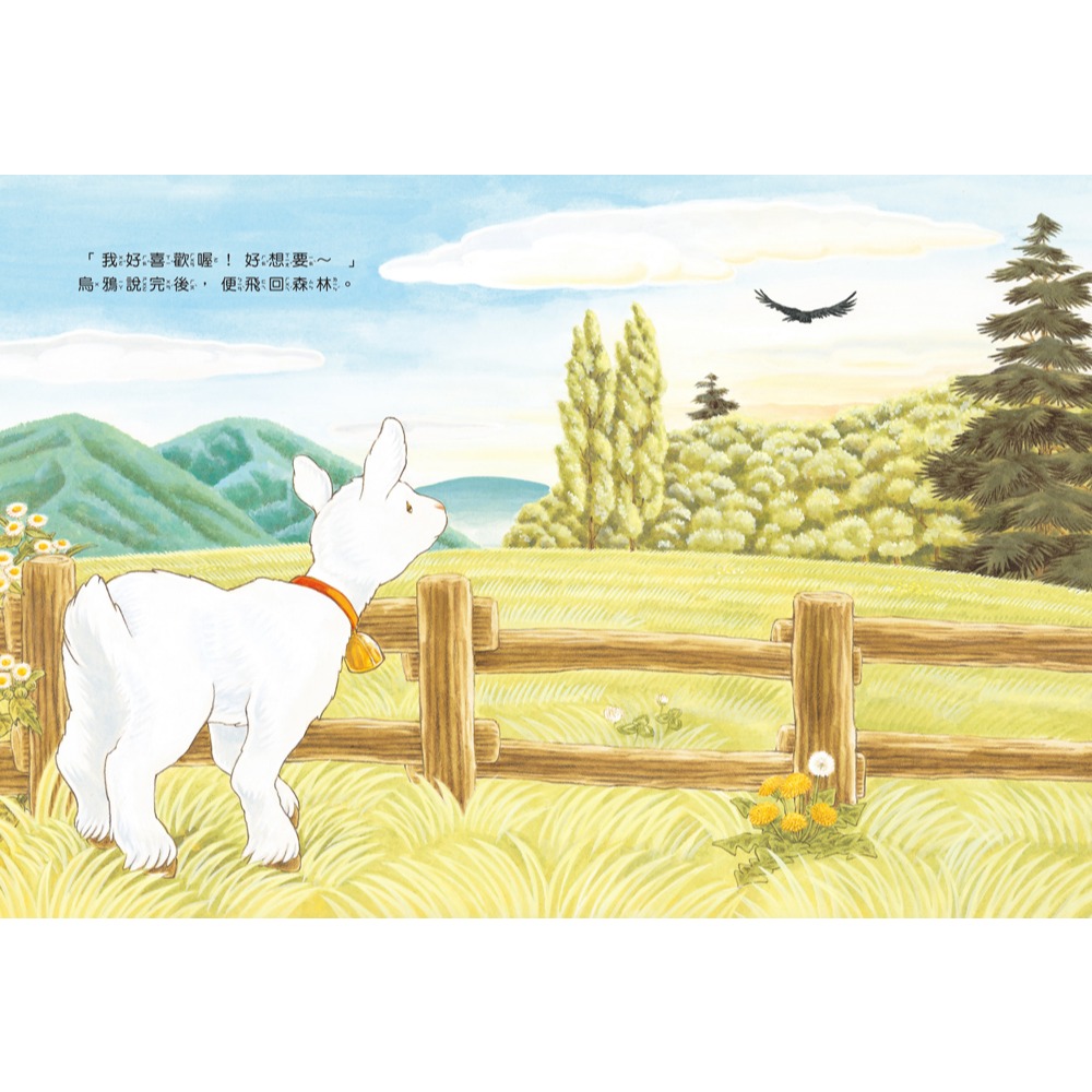 球球館．阿白和烏鴉-細節圖2