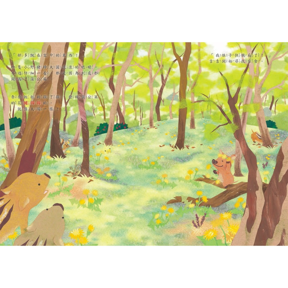 球球館．小野豬的春天冒險記-細節圖2