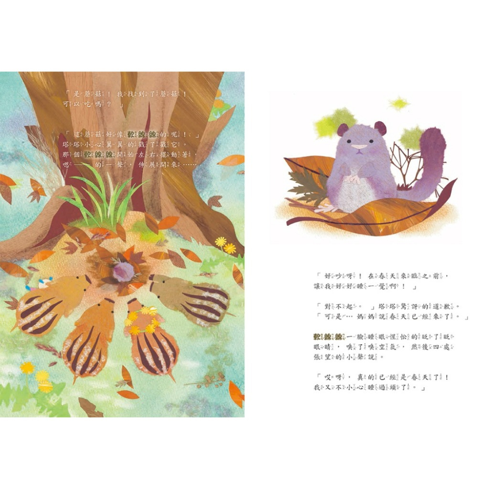 球球館．小野豬的春天冒險記-細節圖3