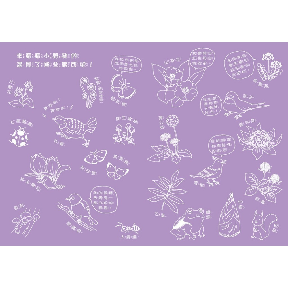 球球館．小野豬的春天冒險記-細節圖6