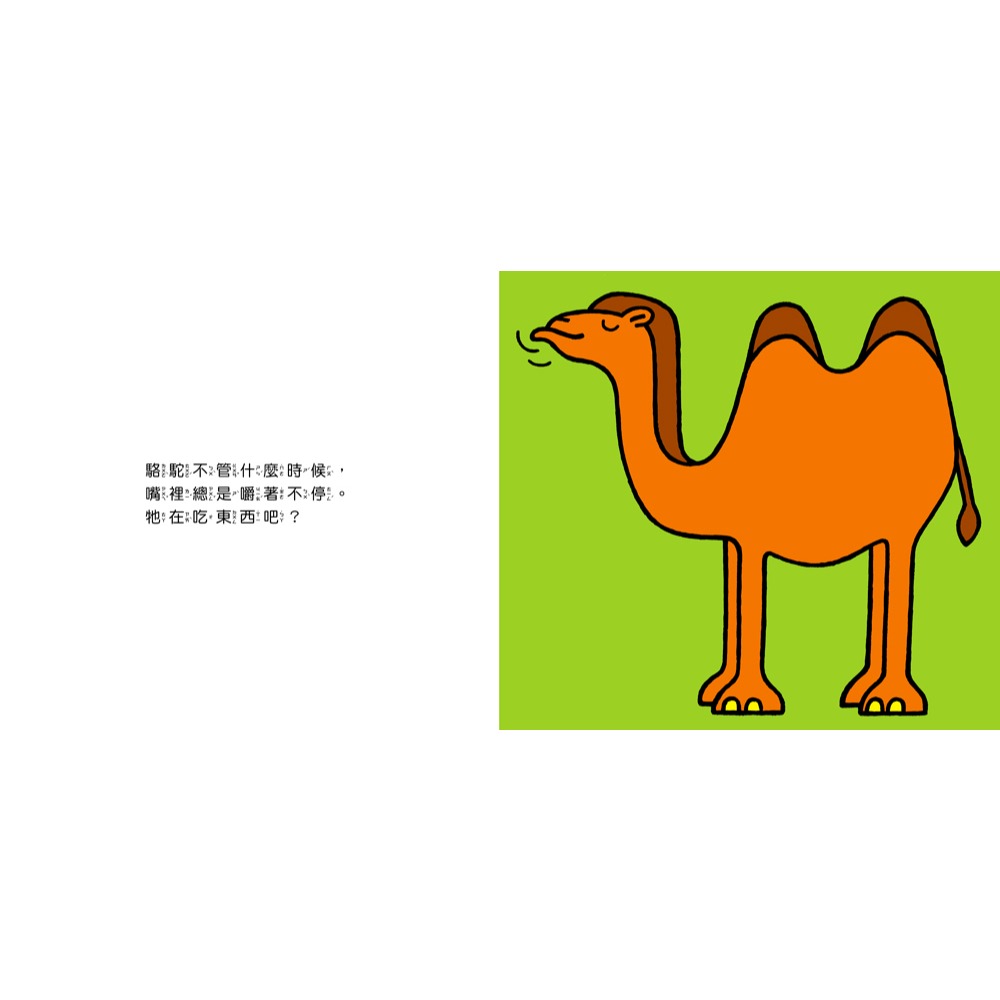 球球館．小熊去動物園-細節圖3