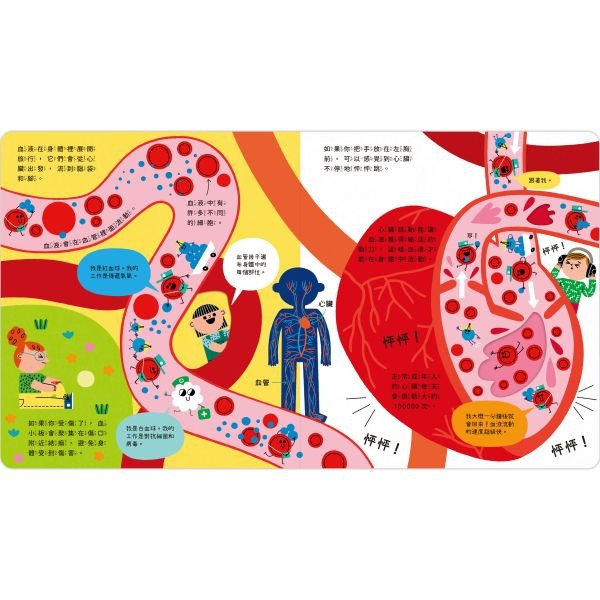 禾流．STEAM 科學小教室 人體大冒險-細節圖3