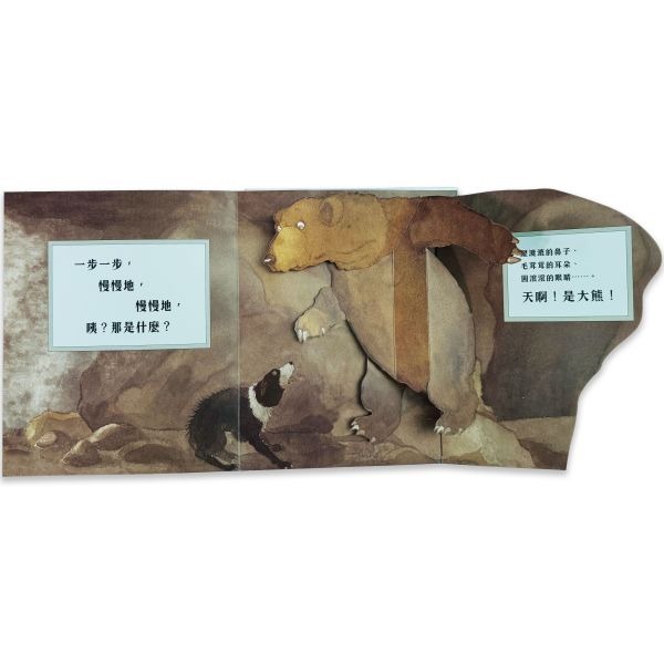 禾流．我們一起找大熊-細節圖4