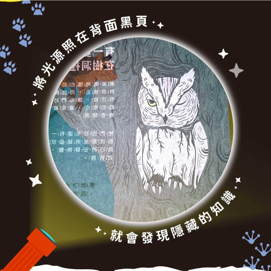 禾流．登登登！透光Show－創造神奇發明！-細節圖2