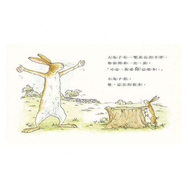 上誼．猜猜我有多愛你-細節圖2