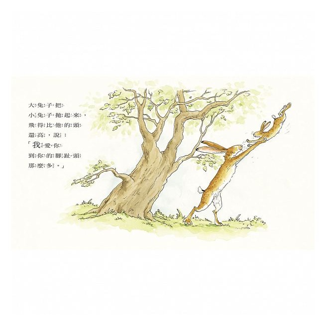 上誼．猜猜我有多愛你-細節圖3