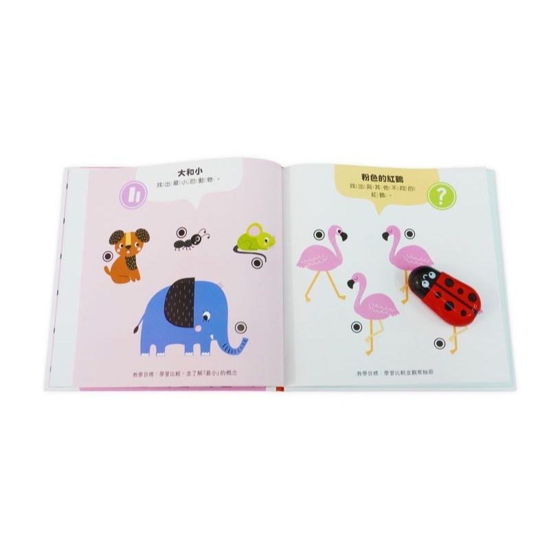 京采．小瓢蟲有聲學習樂園：互動問答遊戲盒（3Y+）-細節圖3
