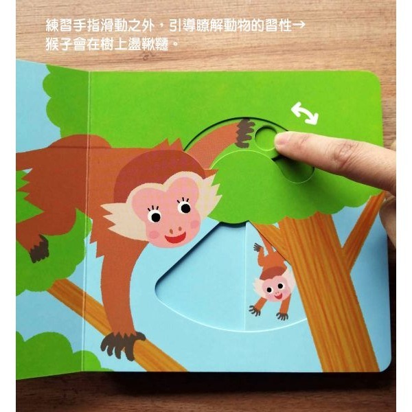 采實．寶貝在哪裡-細節圖3