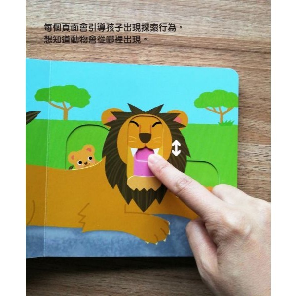 采實．寶貝在哪裡-細節圖4