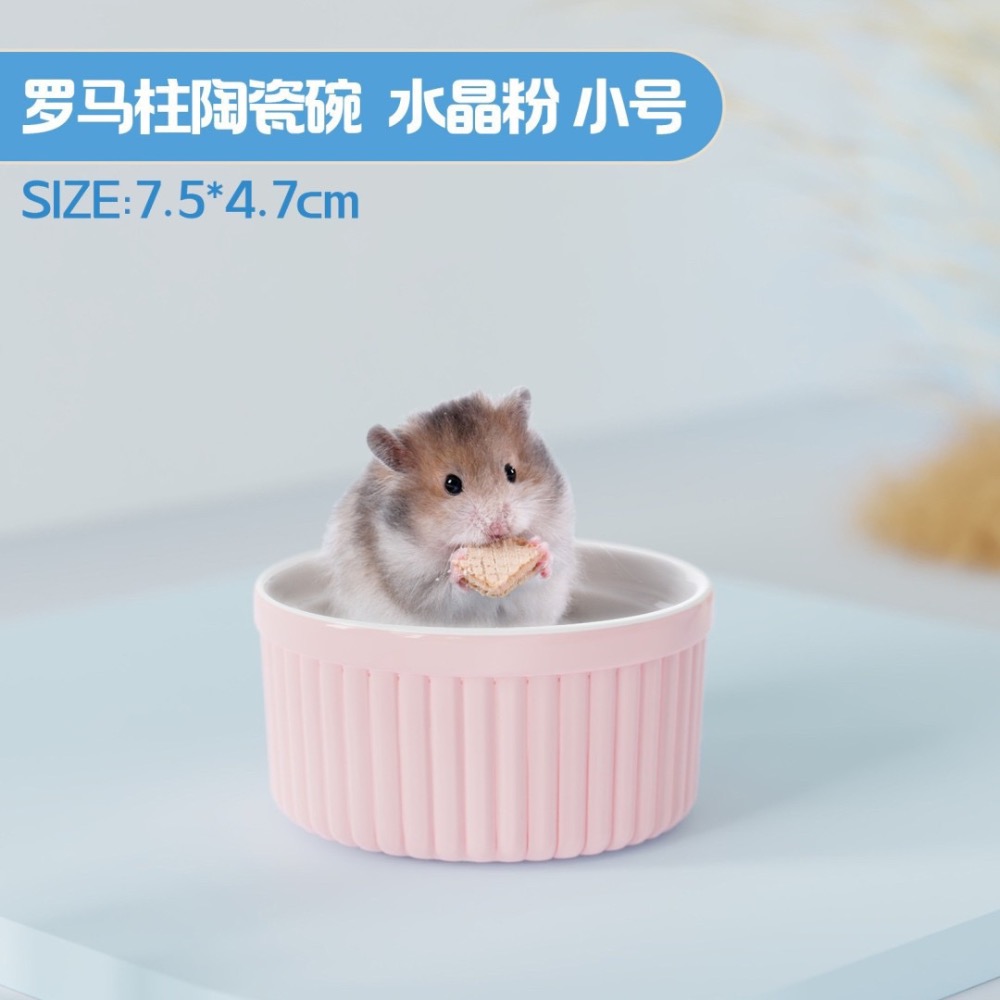 寵尚天🐹羅馬食盆-細節圖7