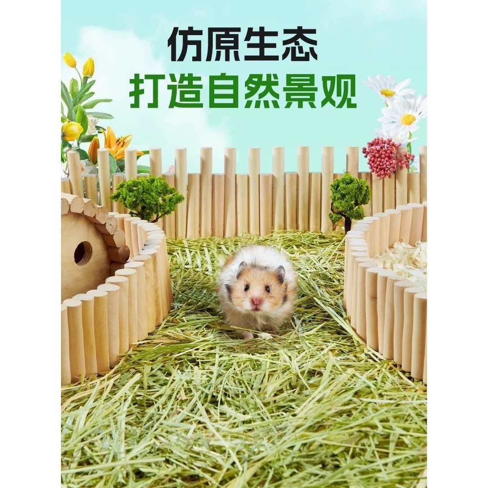 Yee🐹提摩西草-細節圖4