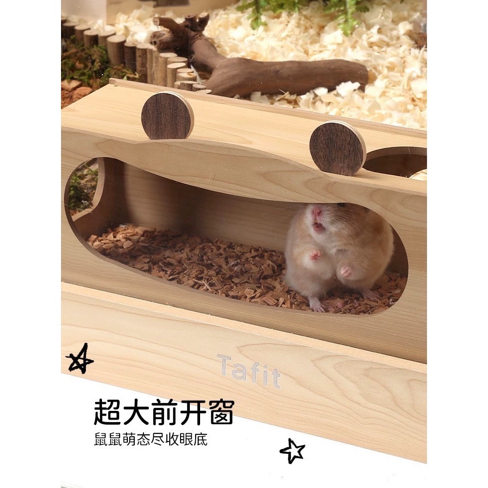 它適🐹螃蟹偷窺隧道-細節圖2