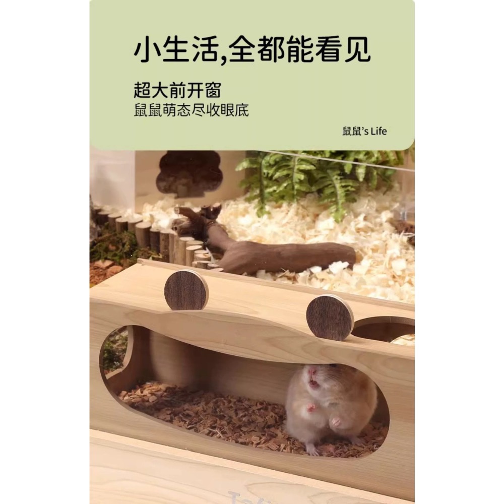 它適🐹螃蟹偷窺隧道-細節圖5