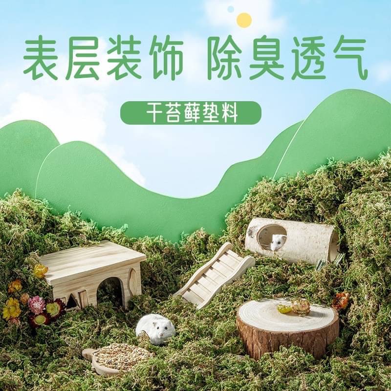 Yee天然裝飾🐹小寵苔蘚-細節圖4