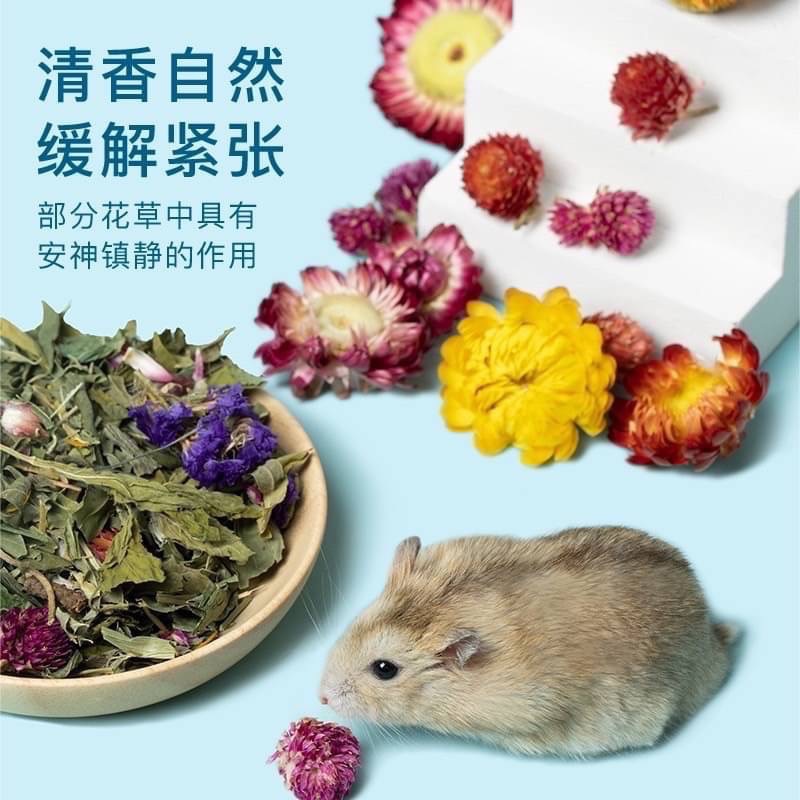 Yee花草墊料🐹除臭🐹造景-細節圖4