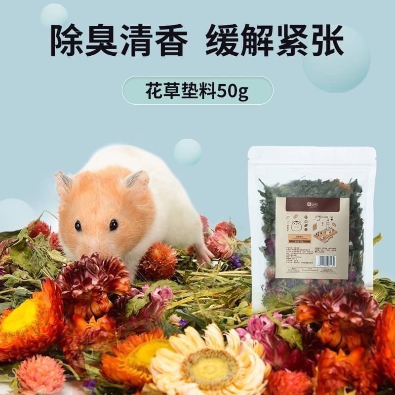 Yee花草墊料🐹除臭🐹造景-細節圖6