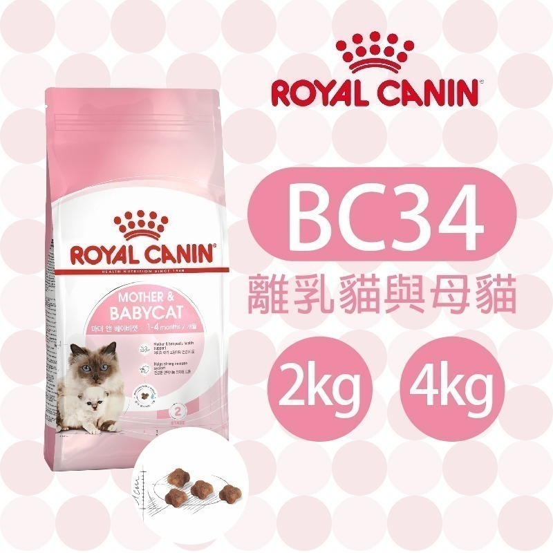 【肥貓客棧】法國皇家 離乳貓專用乾糧(BC34_2kg/4kg) 幼貓飼料 幼母貓 離乳貓 ROYAL CANIN