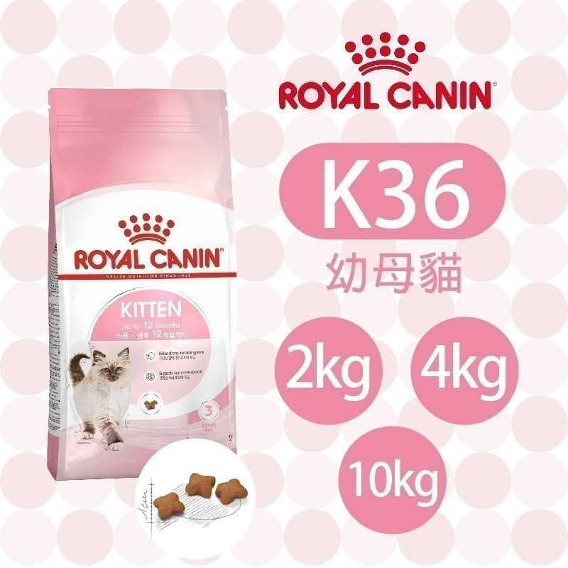 【肥貓客棧】法國皇家 幼貓專用乾糧(K36_2kg/4kg/10kg) 幼貓飼料 幼母貓飼料 ROYAL CANIN