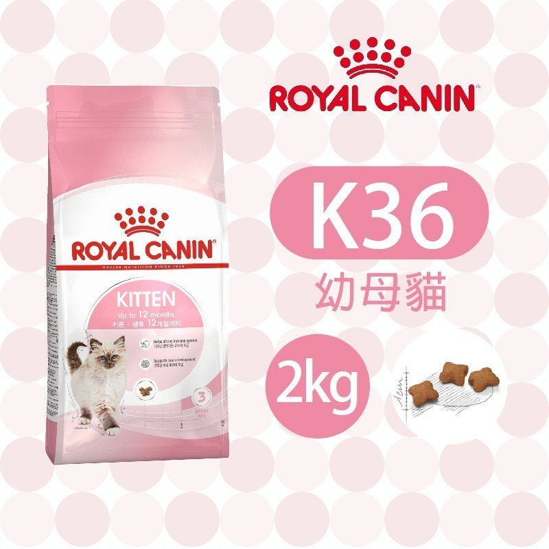 【肥貓客棧】法國皇家 幼貓專用乾糧(K36_2kg/4kg/10kg) 幼貓飼料 幼母貓飼料 ROYAL CANIN-規格圖1