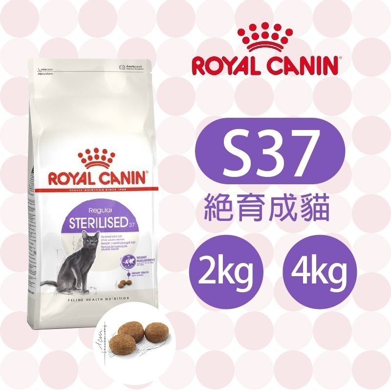 【肥貓客棧】法國皇家 絕育成貓專用乾糧(S37_2kg/4kg) 2kg 4kg 成貓飼料 ROYAL CANIN