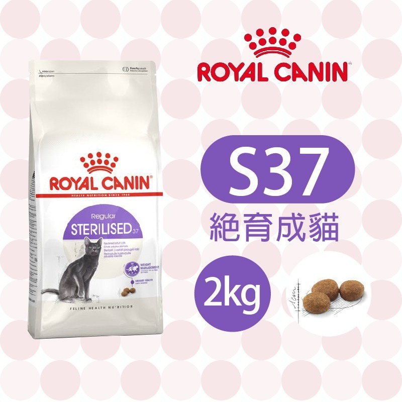 【肥貓客棧】法國皇家 絕育成貓專用乾糧(S37_2kg/4kg) 2kg 4kg 成貓飼料 ROYAL CANIN-規格圖1