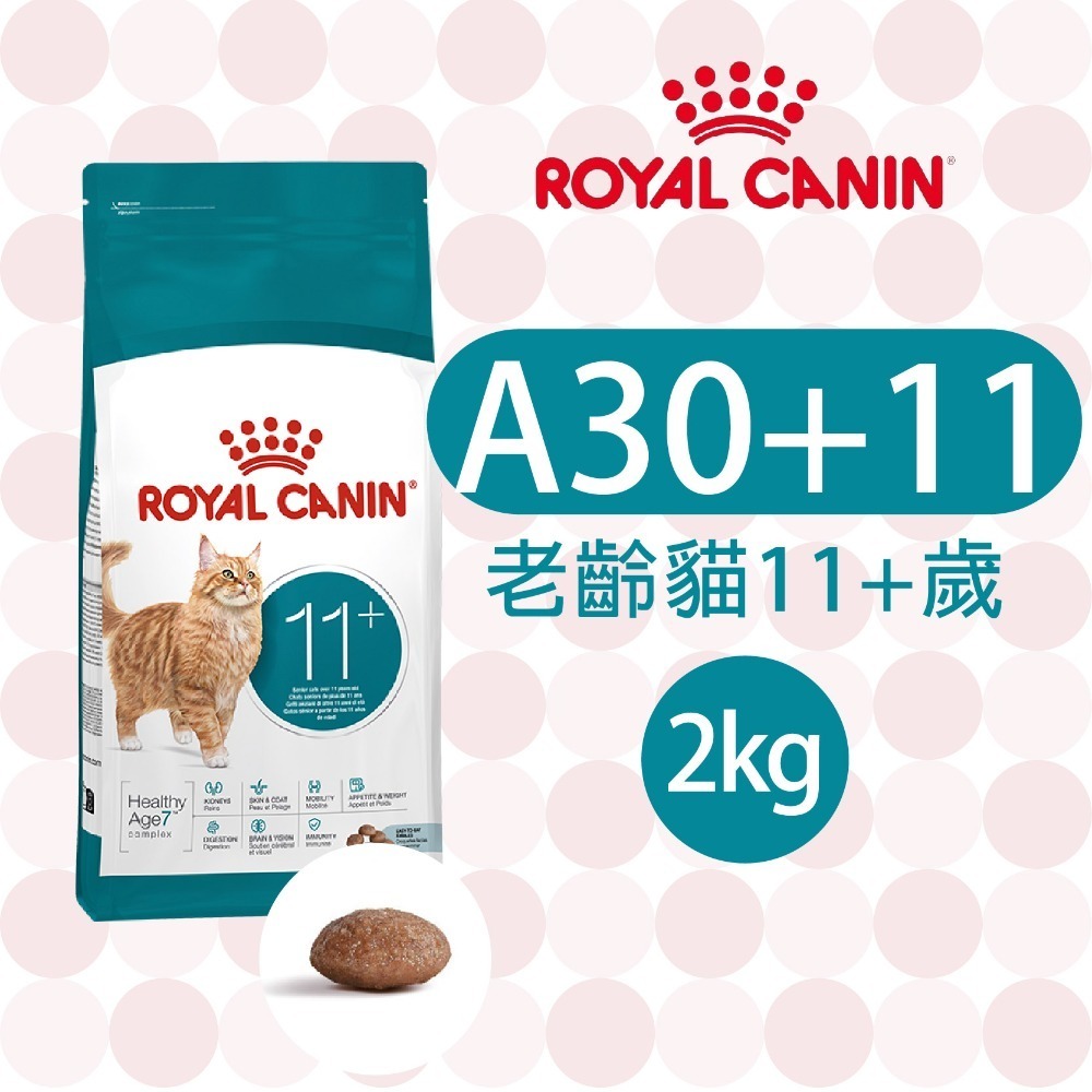【肥貓客棧】法國皇家11歲以上老貓專用乾糧(A30+11_2kg) 老貓飼料 熟齡貓飼料 ROYAL CANIN-規格圖1