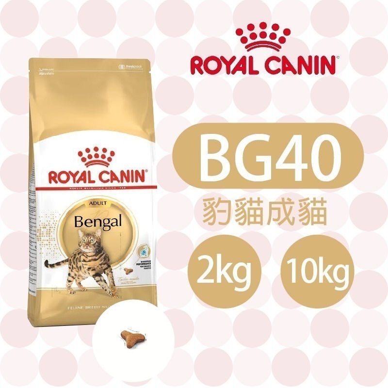 【肥貓客棧】 法國皇家 豹貓成貓專用乾糧(BG40_2kg/10kg) 豹貓飼料 成貓飼料 ROYAL CANIN