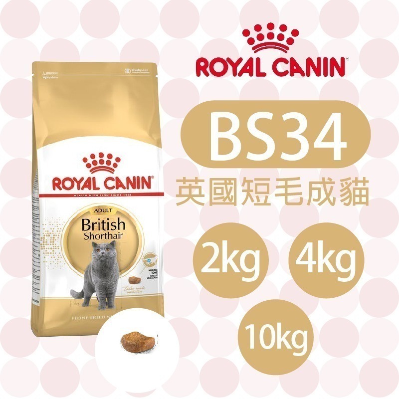 【肥貓客棧】法國皇家 英國短毛成貓專用乾糧(BS34_2kg/4kg/10kg)英國短毛貓飼料 ROYAL CANIN