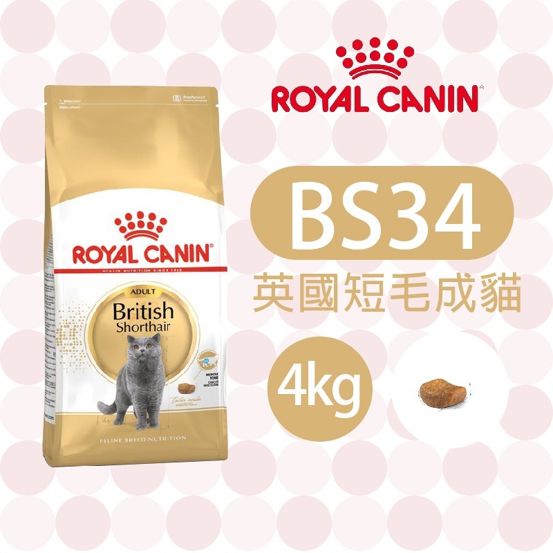 【肥貓客棧】法國皇家 英國短毛成貓專用乾糧(BS34_2kg/4kg/10kg)英國短毛貓飼料 ROYAL CANIN-規格圖3