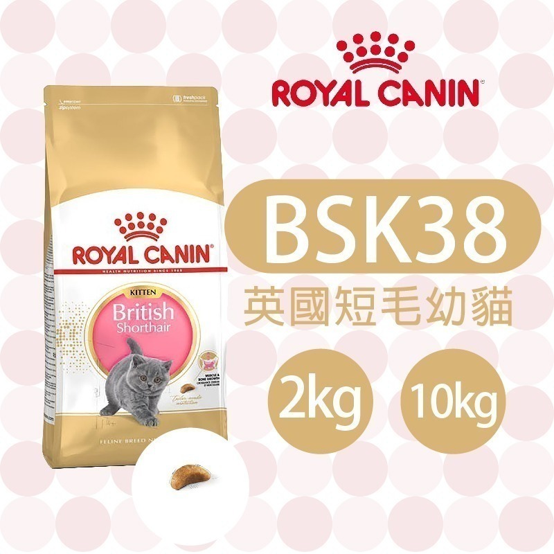 【肥貓客棧】 法國皇家 英國短毛幼貓專用乾糧(BSK38_2kg/10k) 幼貓飼料 貓飼料 ROYAL CANIN