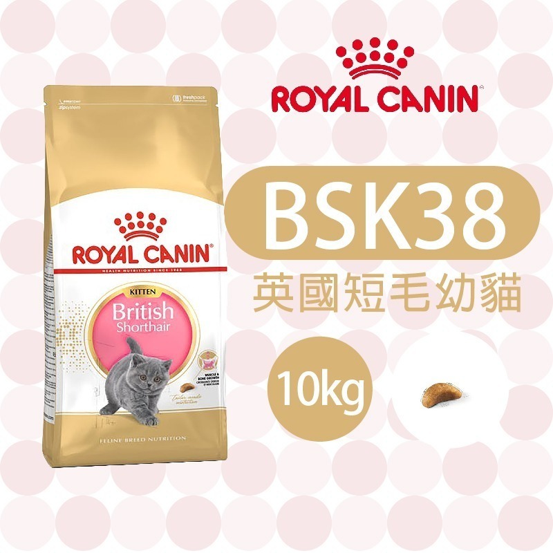 【肥貓客棧】 法國皇家 英國短毛幼貓專用乾糧(BSK38_2kg/10k) 幼貓飼料 貓飼料 ROYAL CANIN-規格圖2