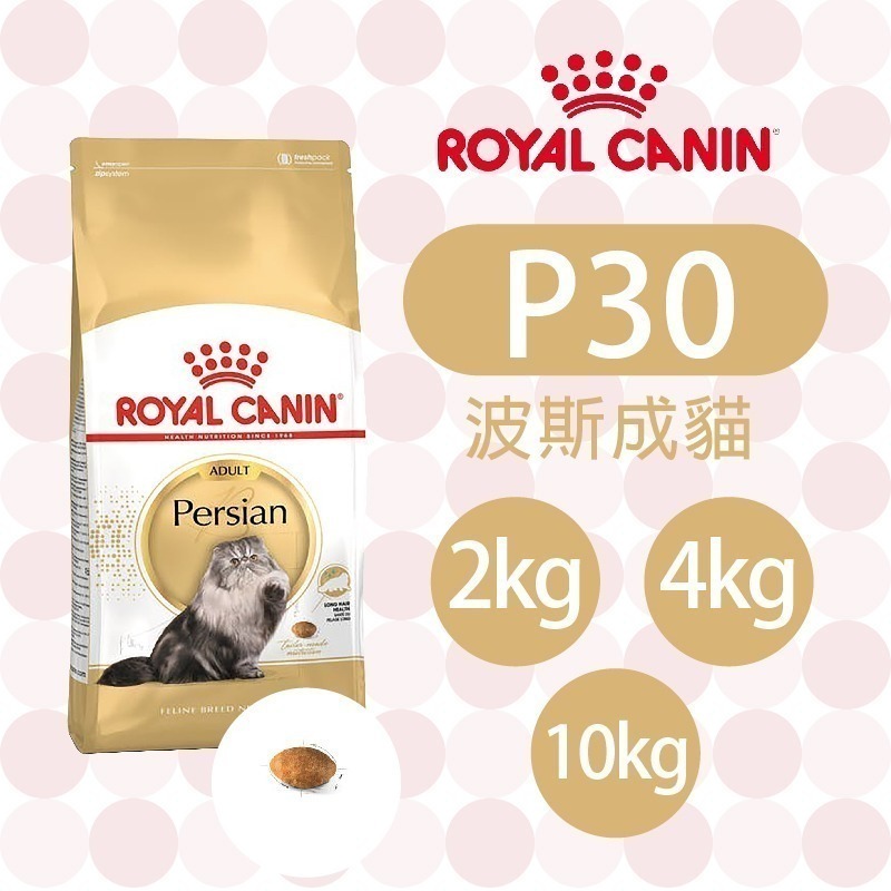 【肥貓客棧】法國皇家波斯成貓專用乾糧(P30_2kg/4kg10kg)  波斯貓 成貓飼料 ROYAL CANIN