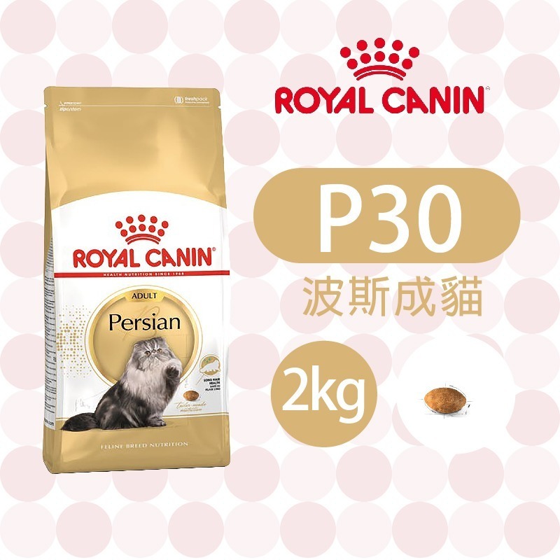 【肥貓客棧】法國皇家波斯成貓專用乾糧(P30_2kg/4kg10kg)  波斯貓 成貓飼料 ROYAL CANIN-規格圖1