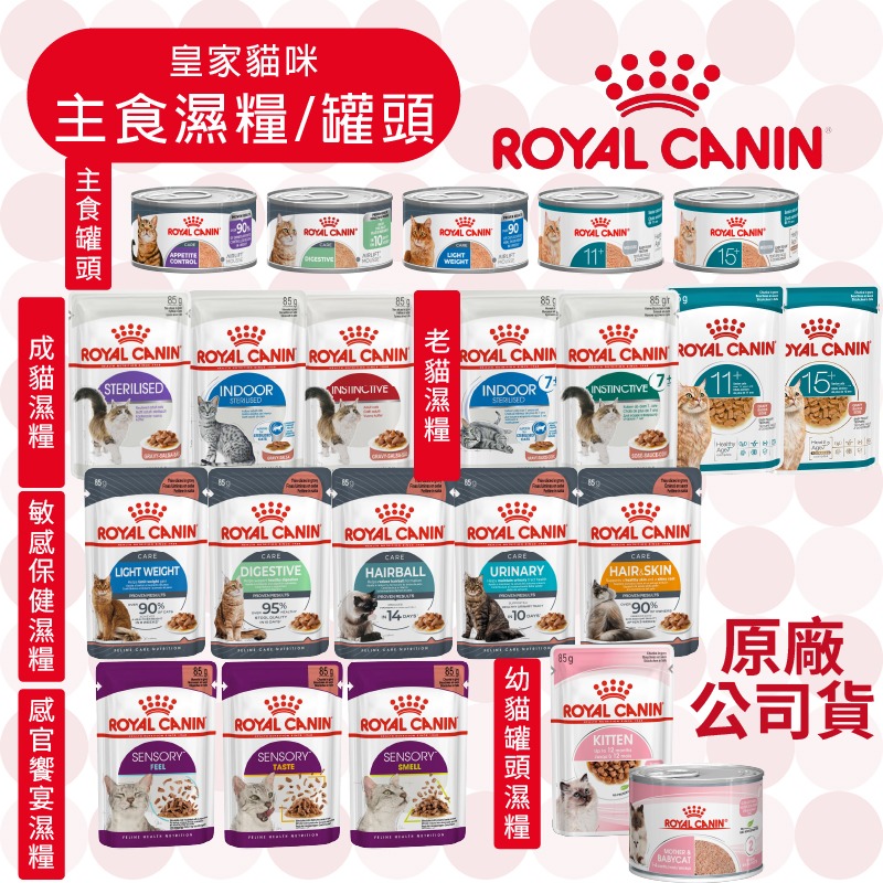 【肥貓客棧】法國皇家(原廠) 貓咪主食罐/濕糧 (85g/195g) 幼貓 成貓 感官饗宴 ROYAL CANIN