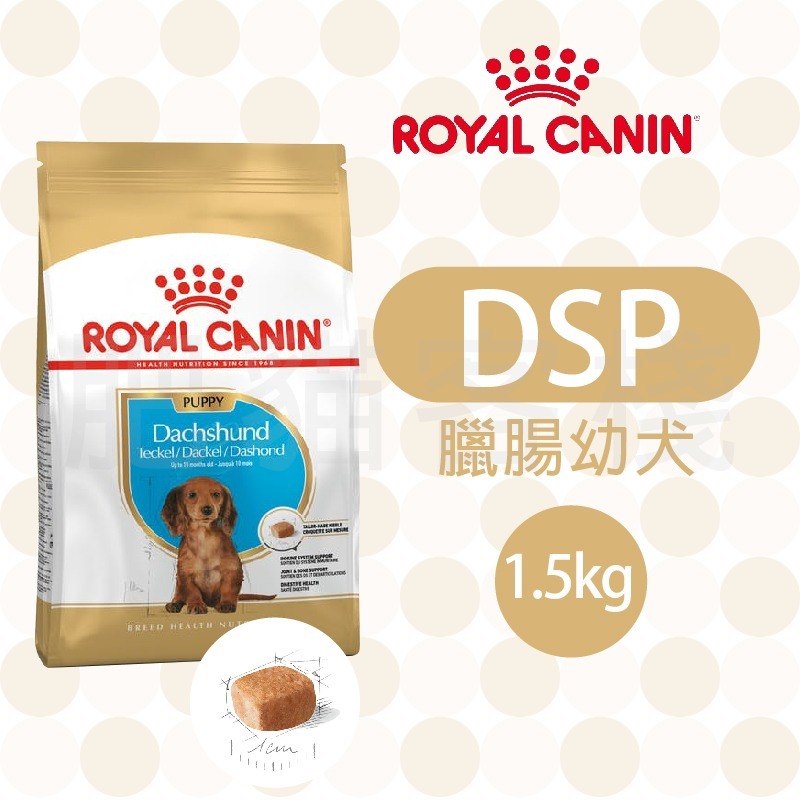 【肥貓客棧】法國皇家 臘腸專用乾糧(DSA/DSP_1.5kg/7.5) 臘腸犬飼料 成犬飼料 幼犬飼料 臘腸狗飼料-細節圖3