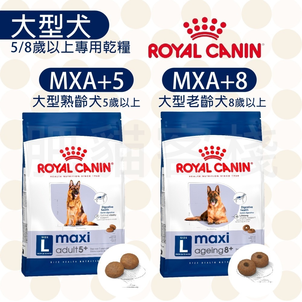 【肥貓客棧】法國皇家 大型熟齡犬/大型老犬 (MXA+5/MXA+8_15kg) 大型犬飼料 ROYAL CANIN