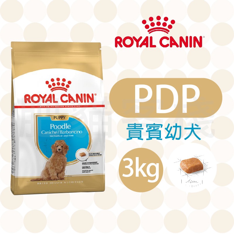 PDP 貴賓幼犬 3kg