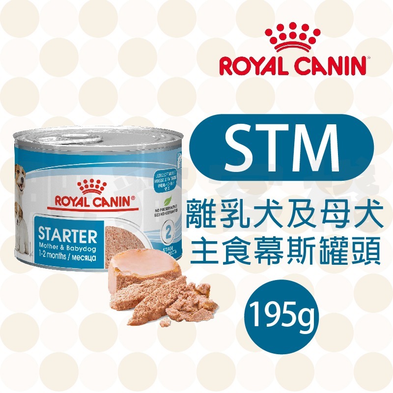 STM 離乳犬及母犬 慕斯罐頭 195g