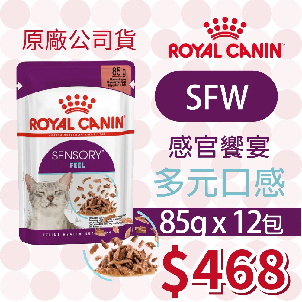 【肥貓客棧】【活動主賣場】法國皇家(原廠) 貓咪濕糧 (85g) 成貓 老貓 熟齡貓 感官饗宴 ROYAL CANIN-規格圖4