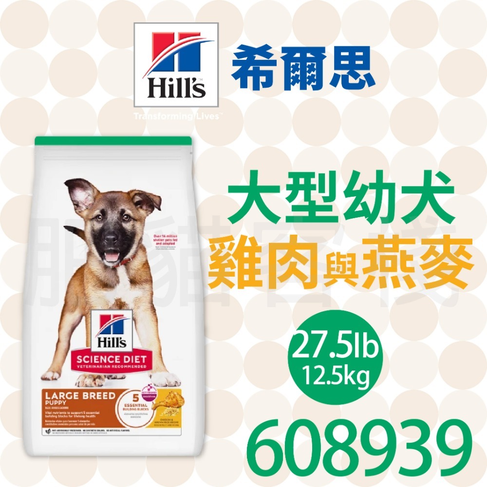 27.5lb 約12.5kg