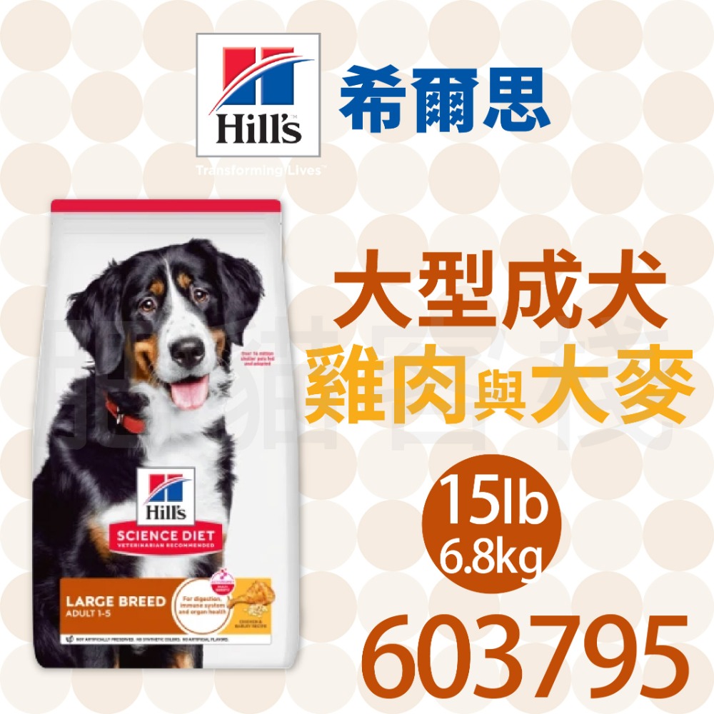 【肥貓客棧】希爾思 大型成犬 雞肉與大麥 (6.8kg) 成犬飼料 大型犬 狗飼料 狗乾糧 Hill＇s-規格圖2